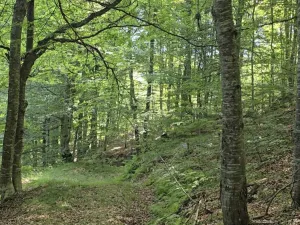 Slika 7