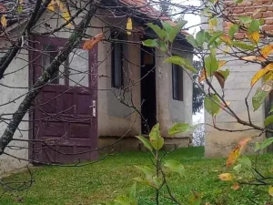Slika 9