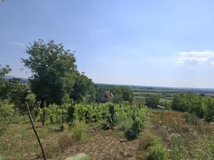 Slika 9