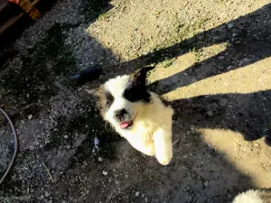 Slika 2