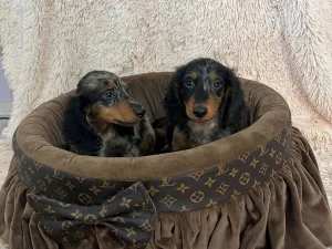 Slika 3