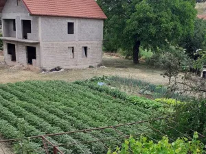Slika 1