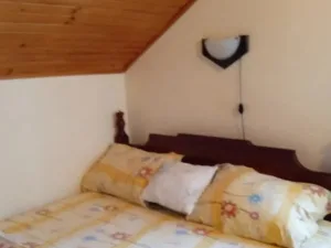 Slika 5